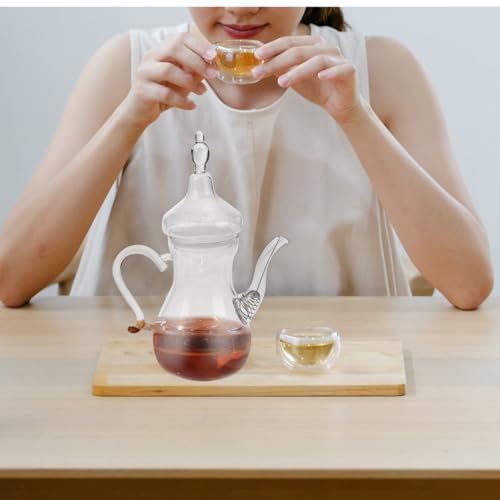 Cafetera tetera de vidrio resistente al calor para té de hojas sueltas y plantas 7