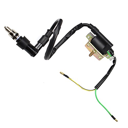 Laxeem Wire Harness Wiring Loom Cdi Ignition Coil Spark Plug Rebuild Kit For 50Cc 70Cc 90Cc 110Cc 125Cc Stator Cdi Coil Atv Quad Bike Buggy Go Kart #TOP2