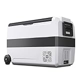Havk Tragbare Camping-Kühlbox 12v Mini Kühlschrank Elektrische Camping-Gefrierbox Klein Tragbare Kühlschrank für Auto,LKW,Boot(Size:50L)