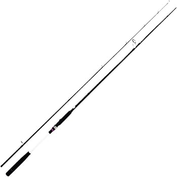 Amazon | ライトショアジギング入門 ロッド & リール 2点セット 96M-2P