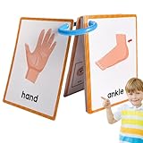 Lernkarten für Körperteile – illustriertes Anatomie-Kartendeck, pädagogische Erinnerungsaufforderungen für Kinder, Schulungsmaterial für das körperliche Bewusstsein, | Bildungsangebote zu den