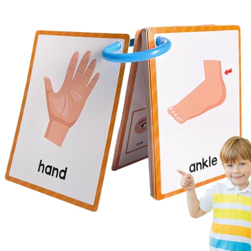 Partes del cuerpo Tarjetas Flash Aprendizaje Inglés - Tarjeta de estudio de bolsillo, ayuda visual de vocabulario, herramienta de enseñanza de doble cara, recurso educativo de aprendizaje temprano |