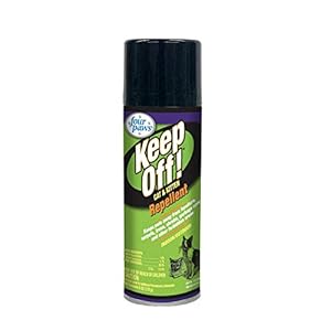 Four Paws Keep Off Pet Repellent Spray for Outdoors & Indoors, Dog & Cat Chew & Scratch Deterrent, 6 oz.