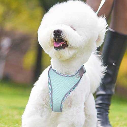 Factorys Hundegeschirr für kleine, mittelgroße und große Hunde, kein Ziehen, Welpengeschirr und Leine-Set, Verstellbar, Mint Green, Turquoise, XXS, Fischgrätmuster