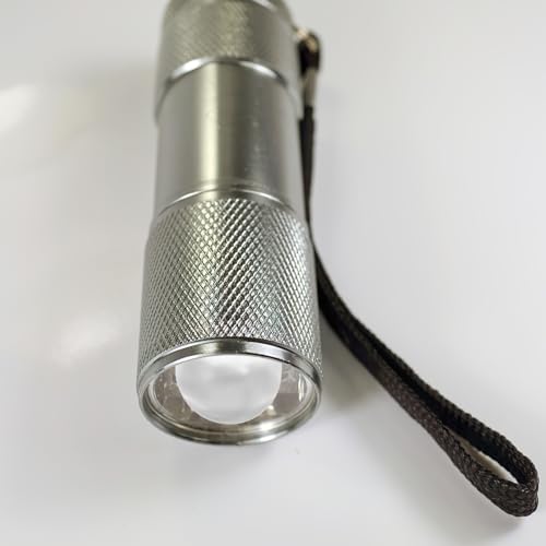 Ampoule LED E10 6V culot à vis pour lampe torche et mini lanterne - 5
