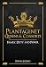 Plantagenet Queens & Consorts: In the Shadow of Eleanor