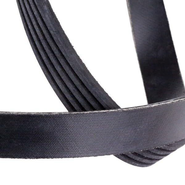Courroie Trapézoïdale à Nervures Febi-Bilstein 28831 - Compatible Renault Clio II, Peugeot 306, Opel Zafira, Etc.