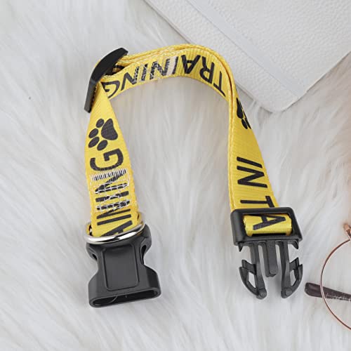 In Training Dog Collar Working Dog Collar Adjustable Pet Collar (In Training Dog Collar) - Image 4