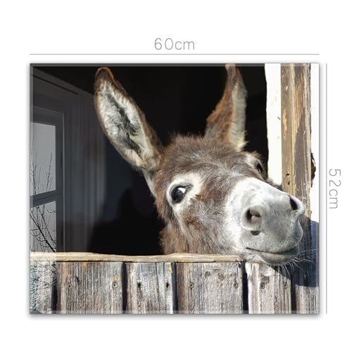 Herdabdeckplatte 60x52 cm ESG Glas | Lustiger Esel im Stall Bauernhof | Herd Abdeckung für Ceranfeld Schneidebrett Glasplatte Induktion