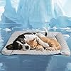 Dog Cooling Mat – Thicken Self-Cooling Pad for Small Dog & Cat, Ultra-Comfortable & Machine Washable | Foldable Design Cooling Mat for Dogs, Crates & Indoor Use (Grey, M 24”*14”)