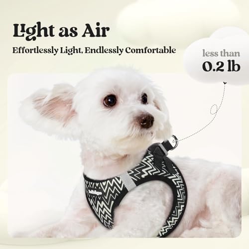 Image of rabbitgoo Dog Harness Small Sized and Leash Set, Step-in Puppy Pet Vest