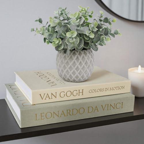 MAOBUYOU Decorative Storage Books Set of 2, Linen Cover, Gold Letters, White and Green