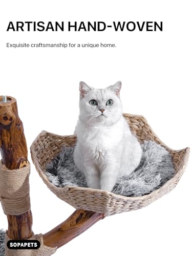 Árbol para Gatos de Madera Maciza Sopapets 41.3" Gris miniatura 6