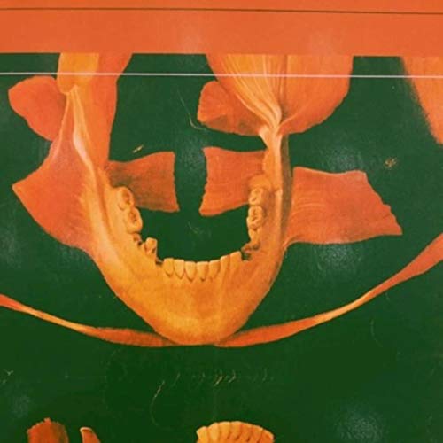 Zen Lunatics, Jack Rutter & Audie Shoelace