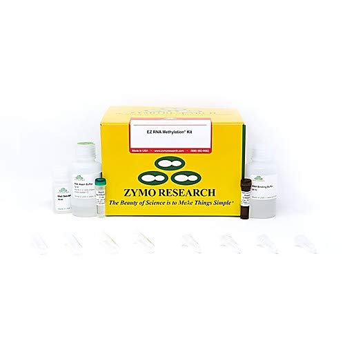 EZ RNA Methylation Kit (50 rxns)