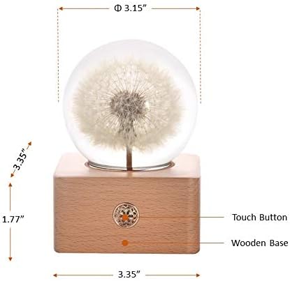 MISS LI GARDEN Forever Dandelion Crystal Ball with LED Lights,Best Gifts for Her Wife Girlfriend Women, Anniversary, Mothers Day, Birthday, Valentine's Day Home Décor