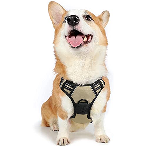 rabbitgoo Arnes Perros Grande Mediano Pequeño Arnés Pecho Antitirones Perros Coche con Lineas Reflectantes Cómodo Transpirable Chaleco Acolchado Ajustable para Adiesreamiento Tamaño M Marrón