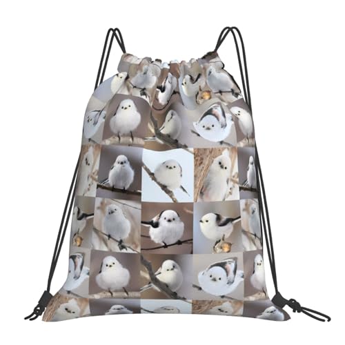 [ZOOKISS] V}GiK  kC ̗d Aj ibvTbN WTbN X|[cobO v[obO ̑ e [֗ y  W  Lv j ObY G j̎q ̎q ȃv[g