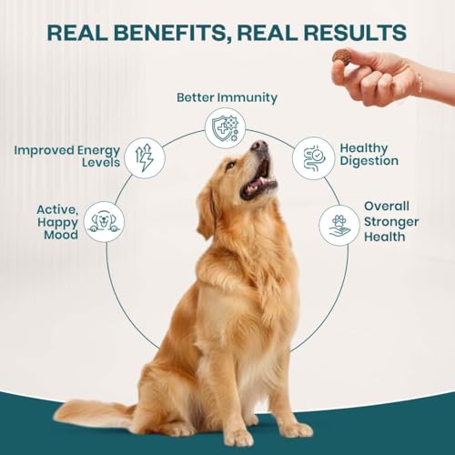 Image of 15-in-1 Multivitamin Soft Chew Supplements for Dogs | Daily Vitamins & Minerals for Immunity, Energy & Growth | Cold-Pressed, Vet Approved | Chicken Flavour | For All Breeds - 30 Soft Chews