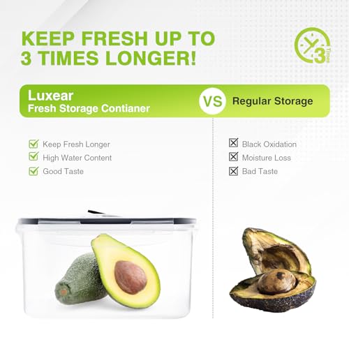 Contenedores, Kitchen Imagen adicional