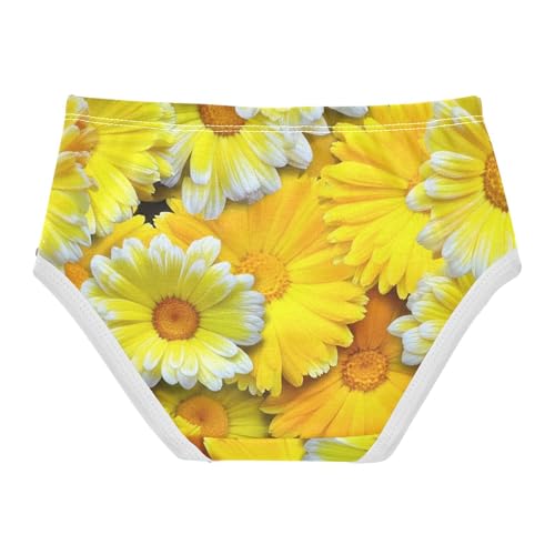 Yellow Calendula Flowers Toddler Underwear Floral 2t Cotton Panties for Girl Cartoon Briefs Girls Undies2