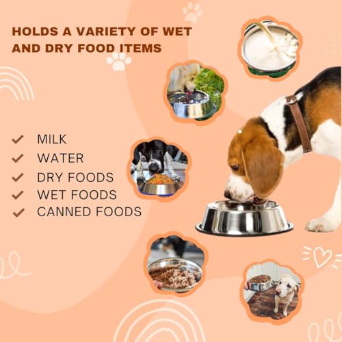 Image of Anti-Skid Stainless Steel Dog Bowl (850 ML) & Thin Slicker Brush Combo | Scratch-Proof Feeding Bowl | Self-Cleaning Grooming Brush for Shedding | Ideal for Dogs, Puppies, Cats & Kittens