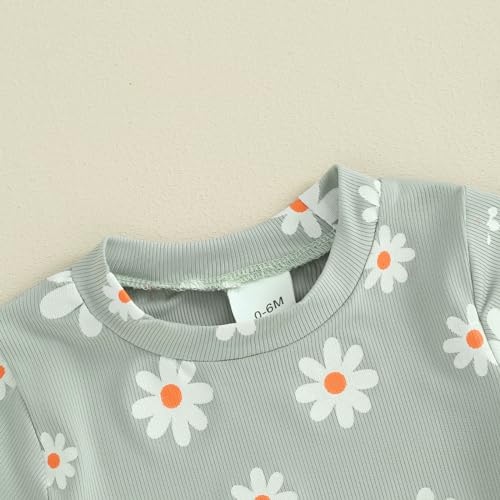 Image of Ayalinggo Baby Girl Summer Outfits Short Sleeve Lettuce Trim Floral Tops + Shorts Set Infant Clothes
