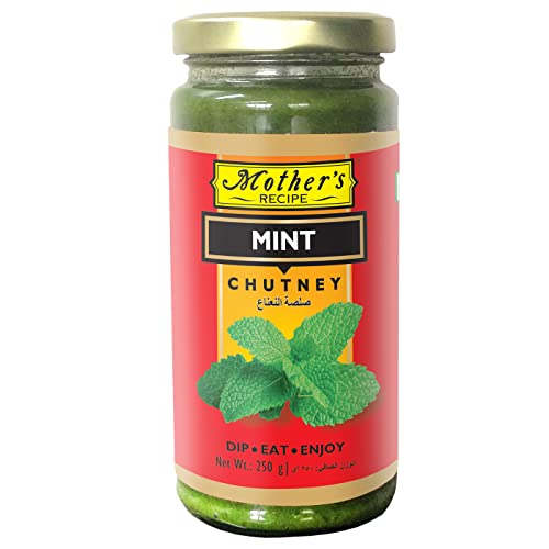 Mother'S Recipe Mint Chutney 250g