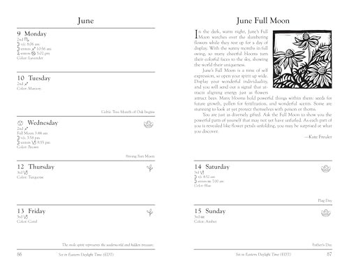 Embrace the Magic: Our Journey with Llewellyn's 2025 Datebook