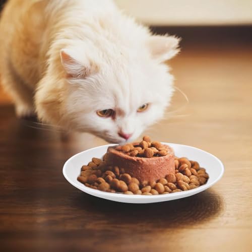 3 Stück Katzen Fressnapf Futternapf, Nassfutternäpfe, Flache Schalen, Katzenfutter Teller Keramik, Katzennäpfe Keramik Napf, Flacher Breiter Futter für Katzen