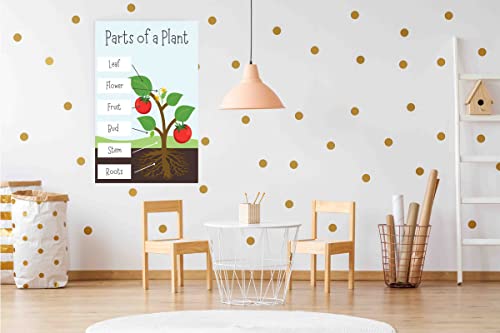 Go Green Tale Kids Learning Wall Poster On Parts Of A Plant|Early Education Poster For Classroom, Kindergarten|1Pc