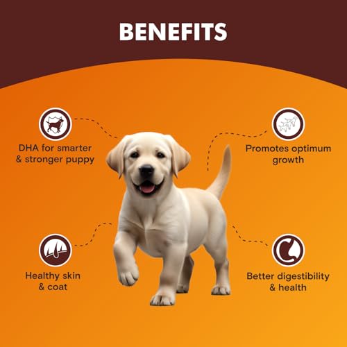 Image of Meat Up Puppy Wet Dog Food (8 x 70g) 560g + 560g Free, Total 1.12kg | Real Chicken in Gravy | Supports Digestion | Boosts Vitality | Complete & Balanced Meal