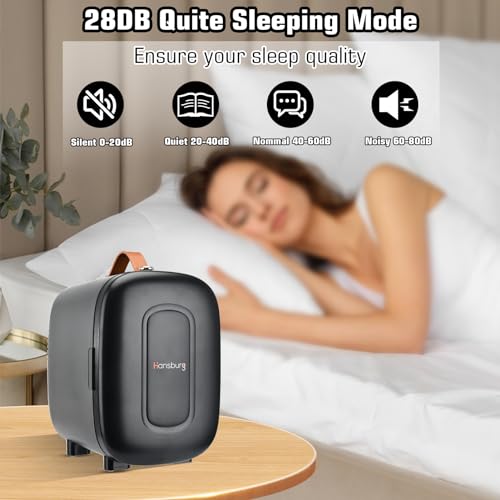 Mini Fridge for Bedroom Skincare Cooler & Warmer Portable Small Refrigerator 4 Liter/6 can with 12v AC/DC/USB Option for Food, Drinks, Makeup, Dorm, Office and Car