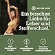 NATURE LOVE® Leber Komplex - 120 Kapseln - mit Mariendistel, Cholin, Artischockenextrakt, Curcuma & Zink - Hochdosiert, vegan, laborgeprüft und in Deutschland produziert