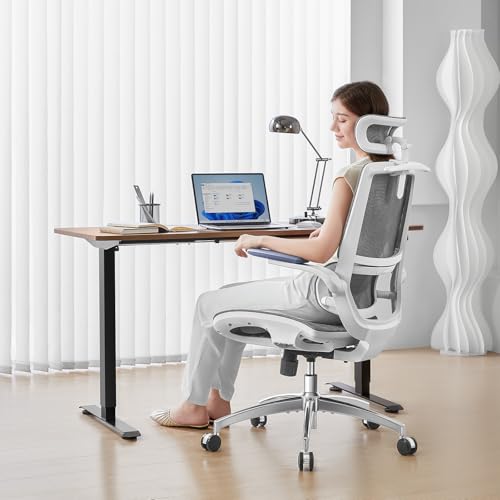 Image of SIHOO M59AS Ergonomic Office Chair, Desk Chair with 3D Flip-up Armrests, Computer Chair with Dual Back Design and Adaptive Dynamic Lumbar Support Grey