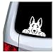 QQYYYT Adesivi Auto 15 Cm Sbirciare Pastore Tedesco Decalcomanie da Parete per Auto Decorazione della Finestra, Simpatico Divertente Cane da Compagnia Pastore Tedesco Adesivo in Vinile