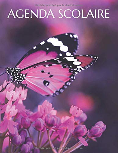Télécharger Agenda scolaire 2020 2021 fille: Agenda scolaire 2020 2021 papillon | Agenda scolaire 2020 2021 | Pr PDF Ebook En Ligne