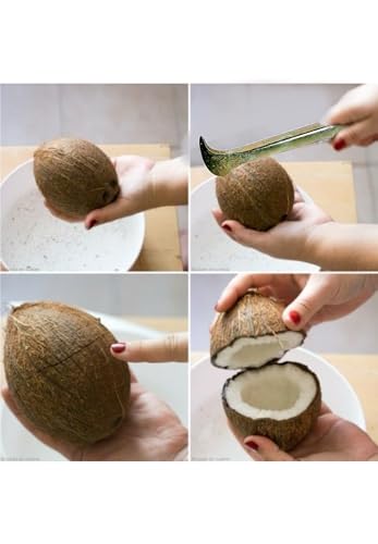 Image of Mahiyash Coconut Slicer Tool | Breaker | Cracker | Peeler |Iron Rod Material |Cracker |Coconut Shell Remover| Chopper with Strong Iron Handle for Multiuse Kitchen ToolPack of 1