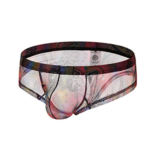Sexy See Through Underwear for Men Sissy Pouch Thong Underwear Briefs Lace See Through(Red,S)