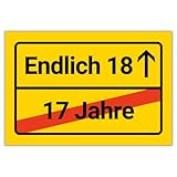 Endlich 18 Geburtstag Schild - Deko Geschenk coole geschenkideen 18 geburtstag - Party Geschenkideen - Geschenk für Mädchen und Jungs - 30x20 cm Kunststoffschild