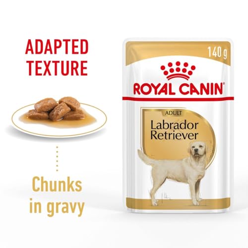 ROYAL CANIN E Labrador Erwachsene CAJA 10 x 140 g