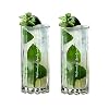 Riedel Personalized Drink Specific Glassware Highball Glass Pair Set of 2 Custom Engraved Hiball Glasses for Mixed Drinks Cocktails Served with Ice Home Bar Accessories