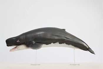 Rheic 1/35 リヴィアタン メルビレイ クジラ類 フィギュア 模型 置物 Amazon | BACALYSO | Rheic Studio 1/35 サイズ リヴィアタン
