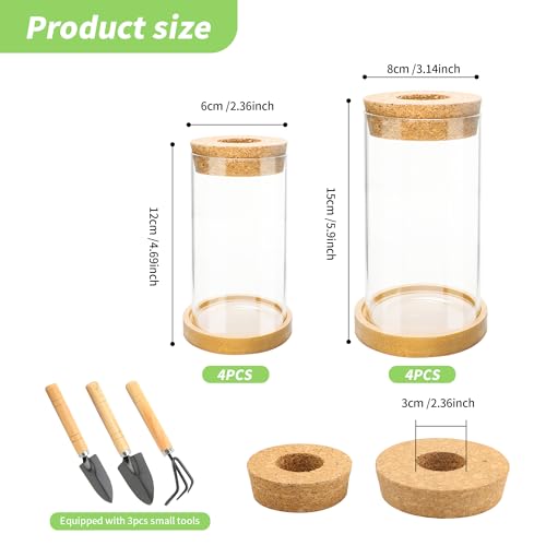 8 Pcs Plant Terrarium Desktop Glass Planter Plant Propagation Tabletop Propagation Vase Containers with Cork and Wooden Saucer for Growing Hydroponic Plants Garden Home Office Decor- - Image 4