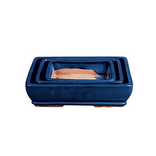 Tiesto bonsais Kofun rectangular azul + Plato