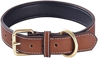 Genuine Leather Padded Dog Collar Comfortable Strong Soft Collars Best for Small Medium and Large Breed Dogs Grey(S)