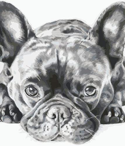 Broderie point de croix chien noir pour votre décoration intérieure