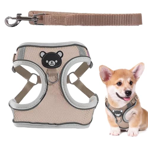 Pettorina per cani che si illumina al buio, pettorina per cani illuminata - Corda da trazione e imbracatura per animali domestici - Imbracatura morbida per cani di piccola taglia, gilet regolabile, im