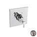 TRIM KIT-SHOWER SET THERMSQUARE PLATE