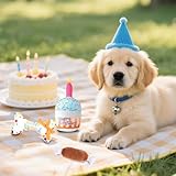 AYSYR 3 Stück Hundekuchen Geburtstag Spielzeug Set,Welpenspielzeug Quietschendes Plüschtier,Welpen Zubehör Geburtstagsknochen,Dog Toys Geburtstagsparty-Zubehör,Hunde Spielzeug Kauspielzeug